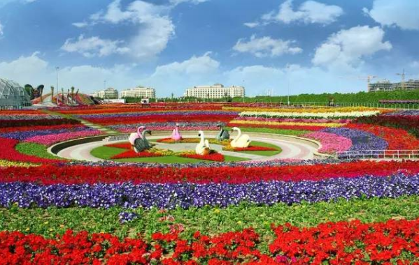 鐵米鋼砂帶您看天安門，今晚起北京必將震撼互聯(lián)網(wǎng)！